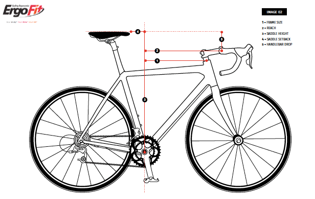 bicycle fitting chart